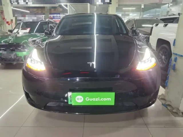 Tesla Model Y — Фото автомобиля 2