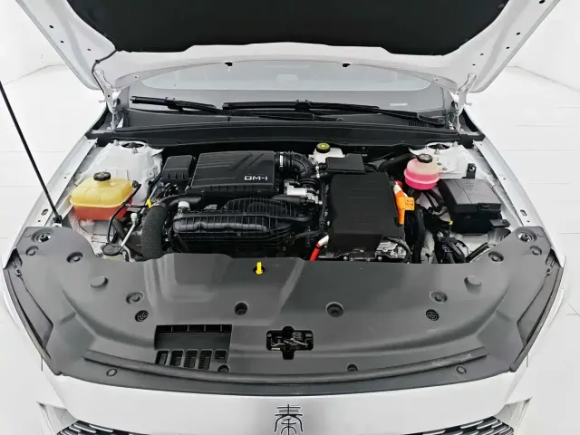 BYD Qin PLUS — Фото автомобиля 16