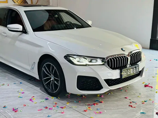 BMW 5 Series — Фото автомобиля 5