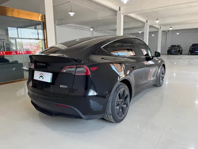 Tesla Model Y — Фото автомобиля 6