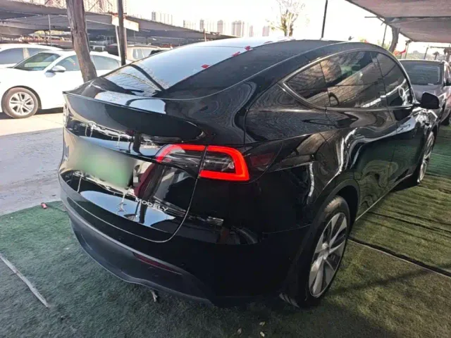 Tesla Model Y — Фото автомобиля 6