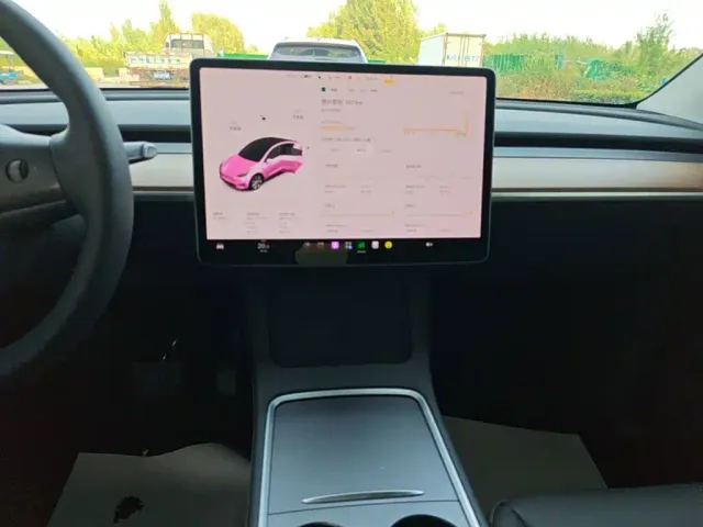 Tesla Model Y — Фото автомобиля 12