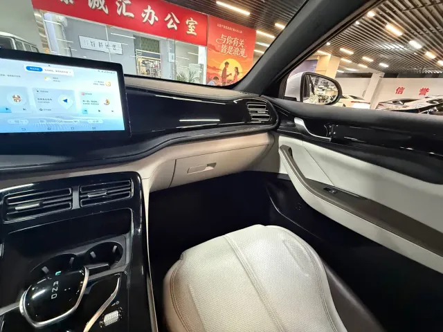 BYD Qin PLUS — Фото автомобиля 9