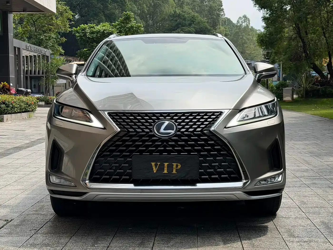 Lexus Lexus RX 2020 300 2WD Elite Edition China VI — Фото автомобиля 2