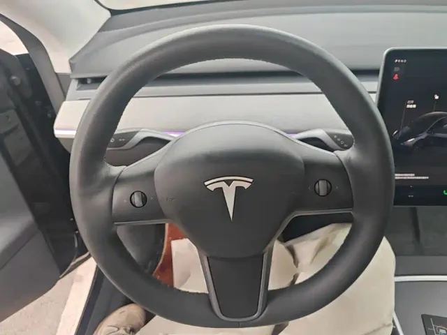 Tesla Model Y — Фото автомобиля 10
