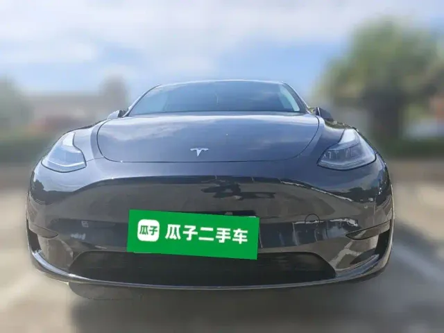 Tesla Model Y — Фото автомобиля 2