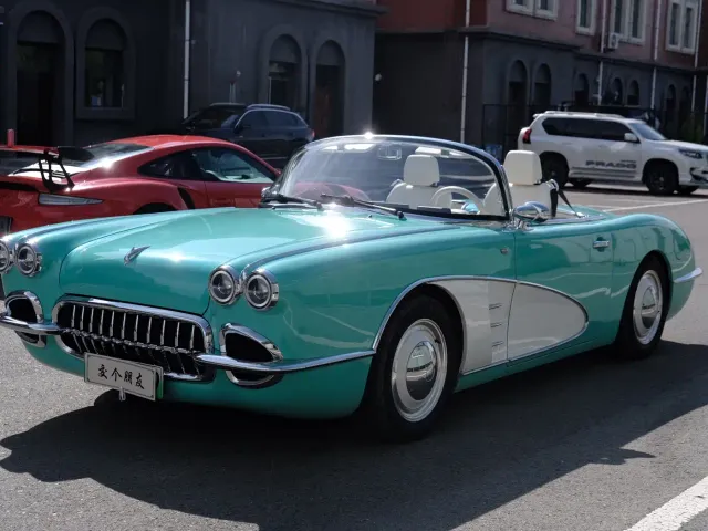 SONGSAN MOTORS SS DOLPHIN — Фото автомобиля 2