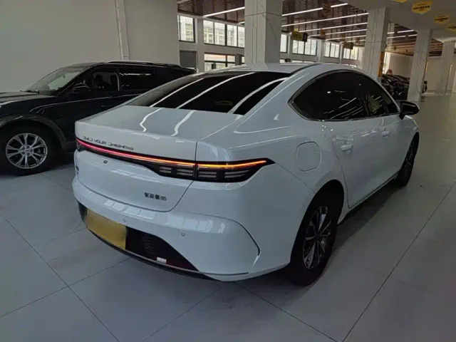 BYD Destroyer 05 — Фото автомобиля 6