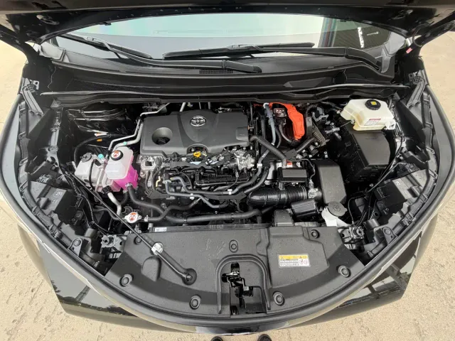 Toyota Sienna — Фото автомобиля 17