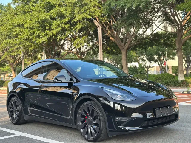 Tesla Model Y — Фото автомобиля 3