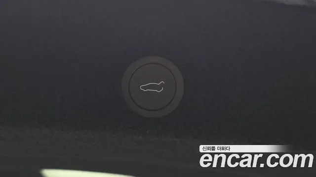 Tesla Model Y — Фото автомобиля 29