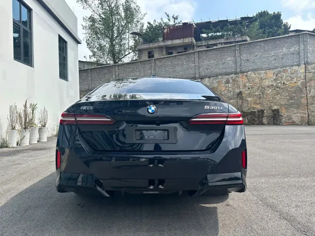 BMW 5 Series — Фото автомобиля 8