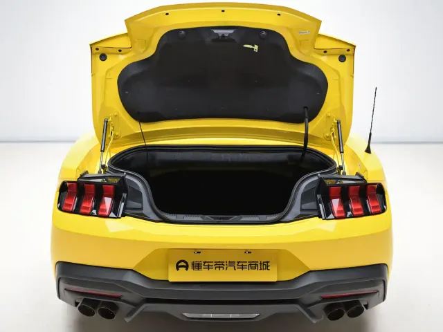 Ford Mustang — Фото автомобиля 10