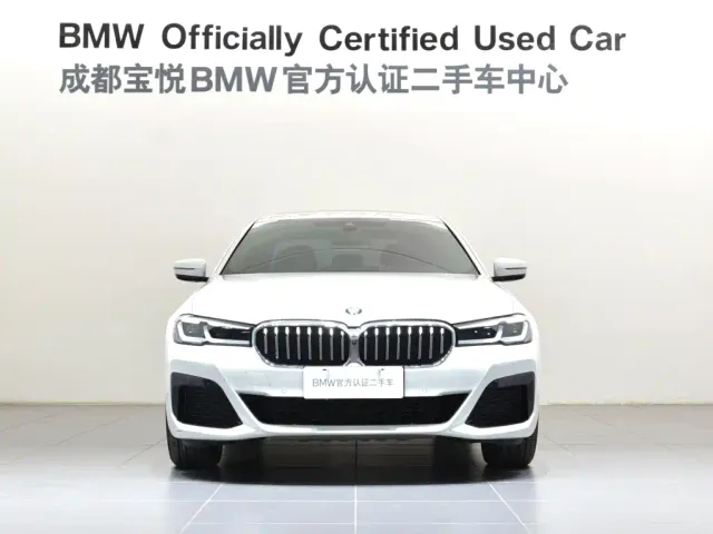 BMW 5 Series — Фото автомобиля 2