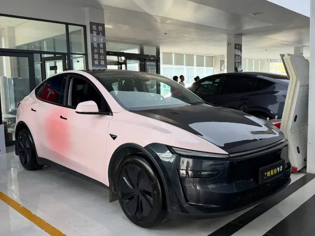 Tesla Model Y — Фото автомобиля 2