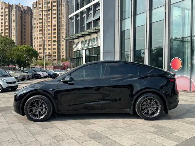 Tesla Model Y — Фото автомобиля 3