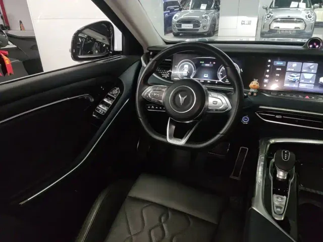 Voyah Auto VOYAH FREE 2021 AWD Standard Range Extender Exclusive Luxury Package — Фото автомобиля 10