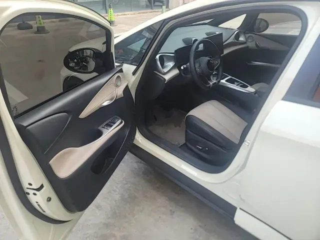 BYD Dolphin 2025 Smart Drive Edition 410km Fashion Version — Фото автомобиля 15