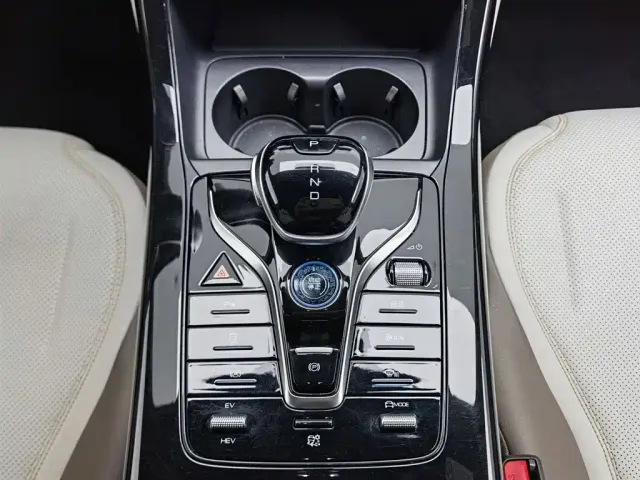 BYD Qin PLUS — Фото автомобиля 13