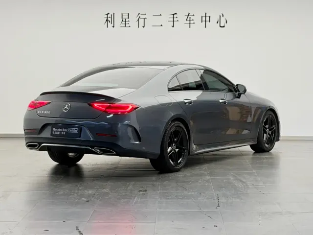 Mercedes-Benz CLS-Class — Фото автомобиля 2