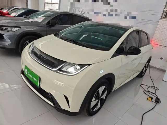 Фотография автомобиля — BYD Dolphin