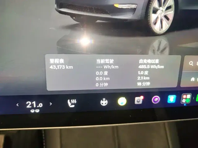 Tesla Model Y — Фото автомобиля 11