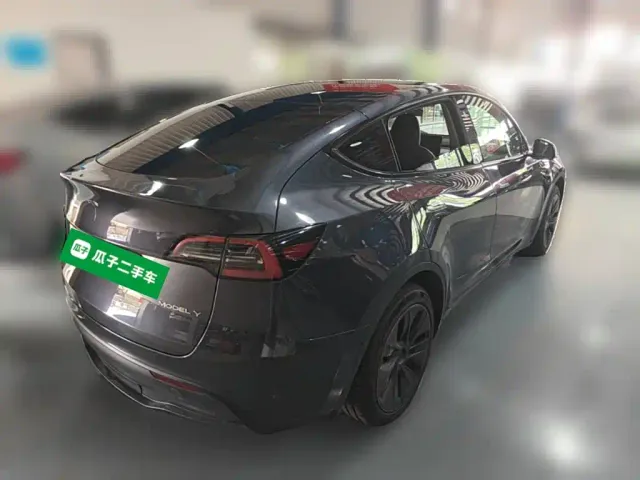 Tesla Model Y — Фото автомобиля 9