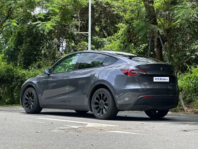 Tesla Model Y — Фото автомобиля 3