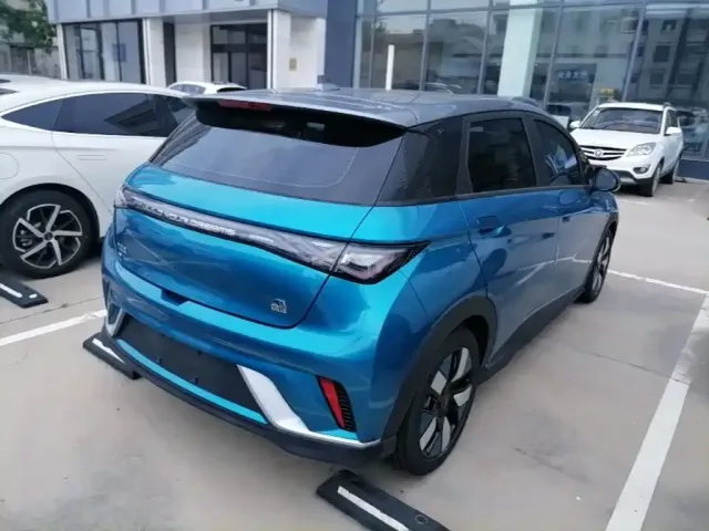 BYD Dolphin 2021 401km Knight Edition — Фото автомобиля 4