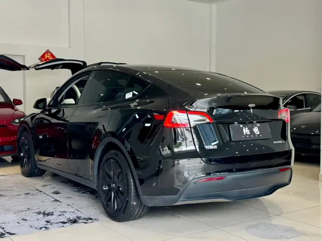 Tesla Model Y — Фото автомобиля 13