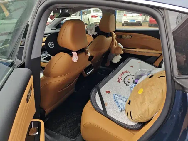 Geely Galaxy Xingyao 8 — Фото автомобиля 11
