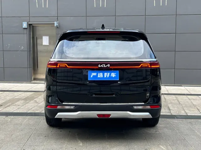 Kia Carnival — Фото автомобиля 9