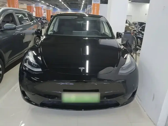 Tesla Model Y — Фото автомобиля 2