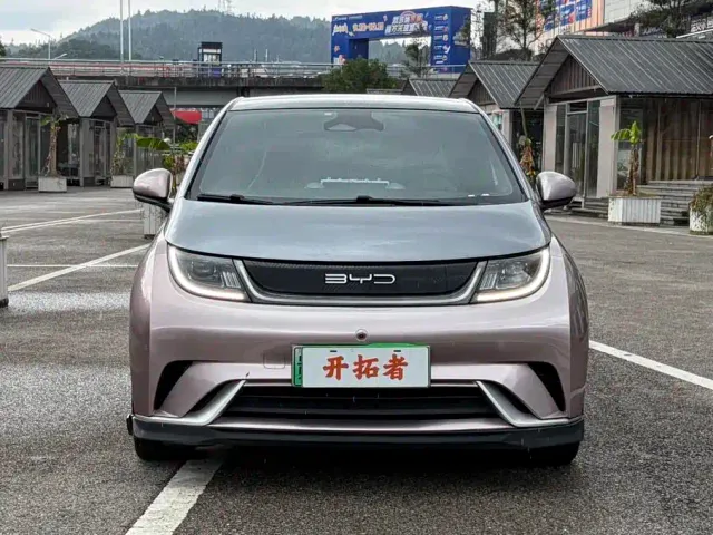 BYD Dolphin 2021 401km Knight Edition — Фото автомобиля 2