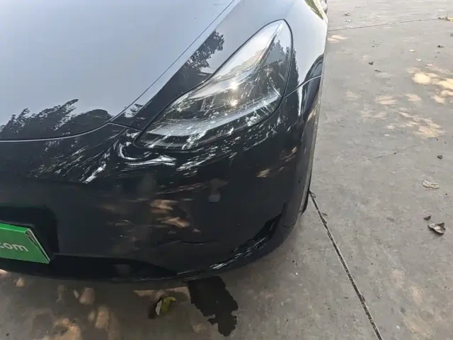 Tesla Model Y — Фото автомобиля 23