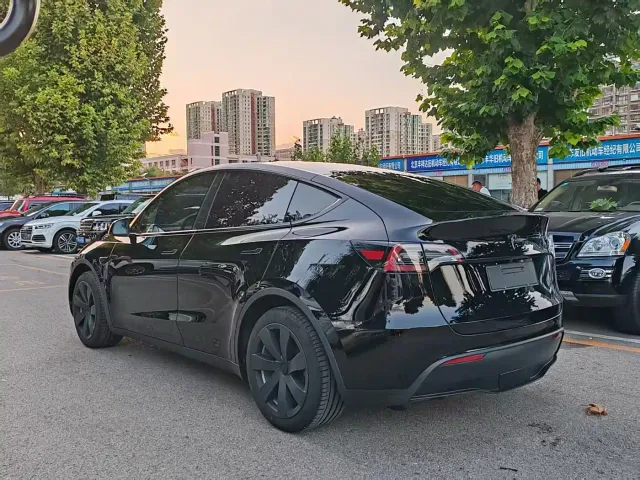 Tesla Model Y — Фото автомобиля 6
