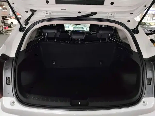 Haval Jolion — Фото автомобиля 18