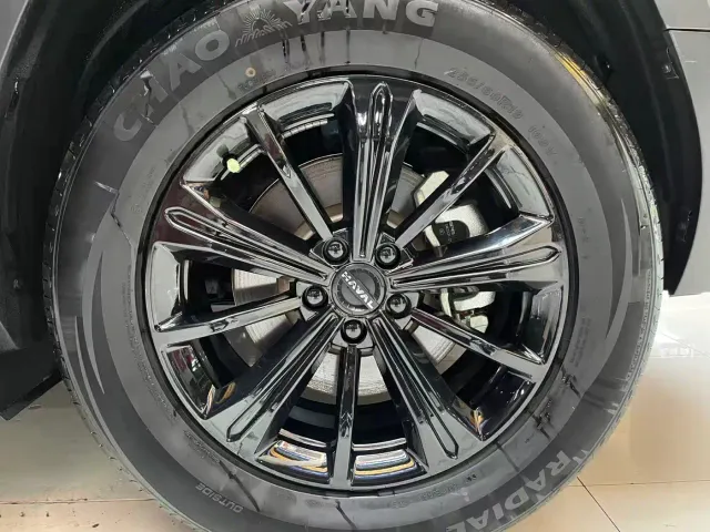Haval Raptor — Фото автомобиля 19