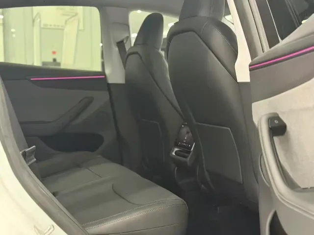 Tesla Model Y — Фото автомобиля 10