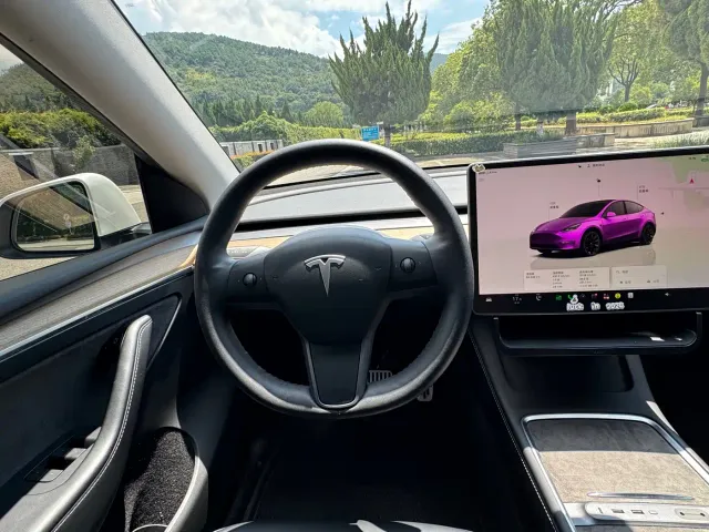 Tesla Model Y — Фото автомобиля 14