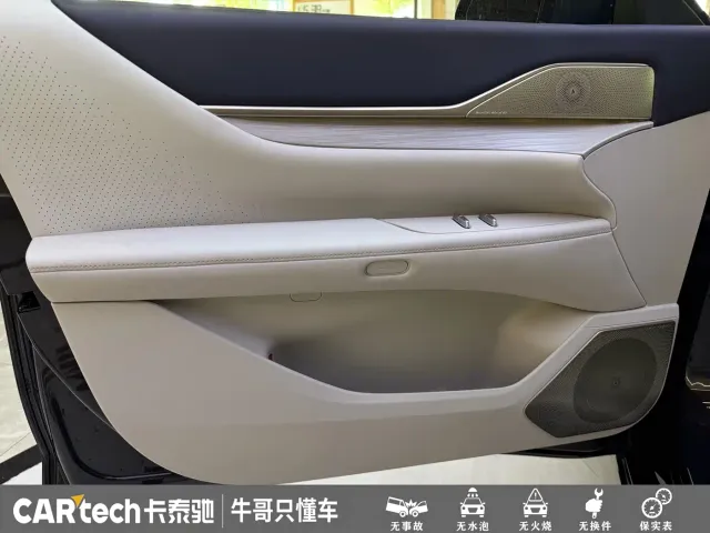 Buick Electra L7 — Фото автомобиля 8