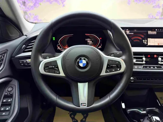 BMW 2 Series — Фото автомобиля 15