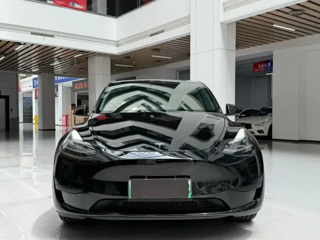 Tesla Model Y — Фото автомобиля 2