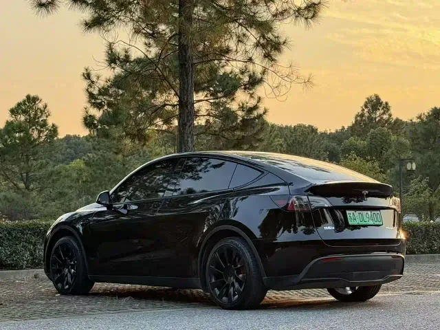 Tesla Model Y — Фото автомобиля 9