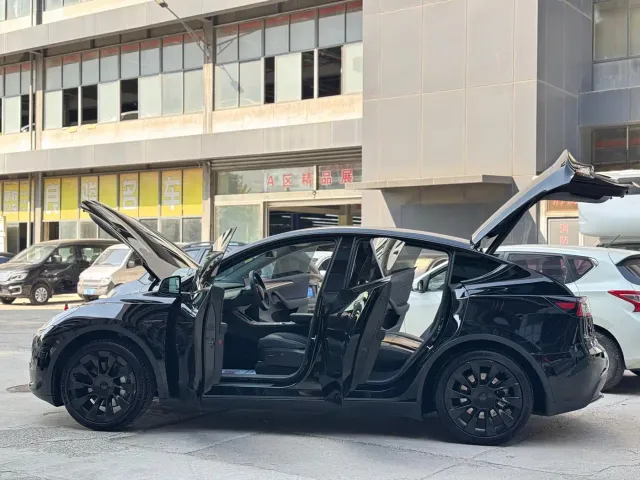Tesla Model Y — Фото автомобиля 11