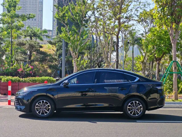 BYD Destroyer 05 — Фото автомобиля 7