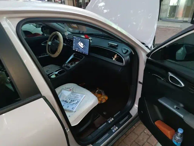 Geely Starry Wish — Фото автомобиля 19