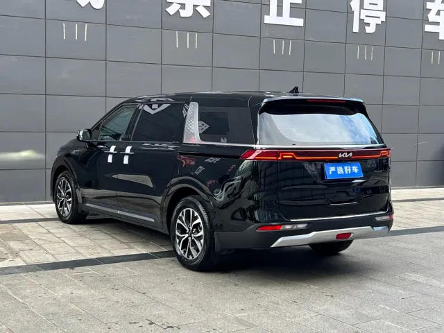 Kia Carnival — Фото автомобиля 7