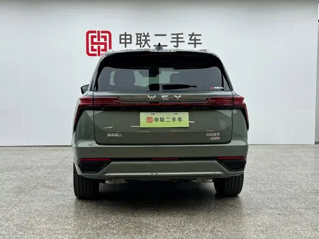 Wey Lanshan — Фото автомобиля 4