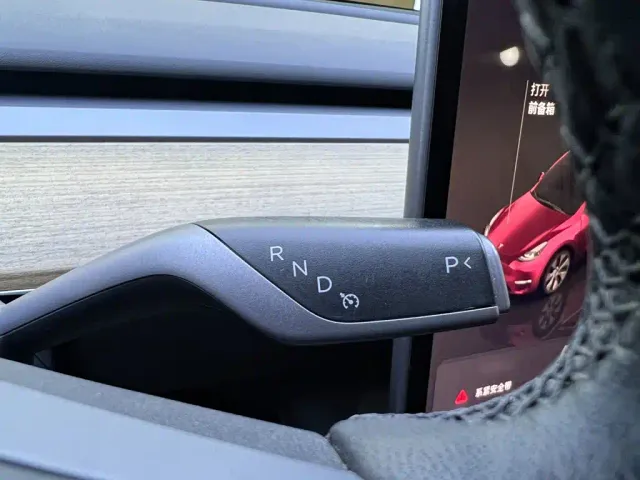 Tesla Model Y — Фото автомобиля 12